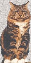 amazing.jpg (10432 bytes)