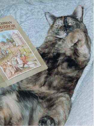 nat.jpg (18982 bytes)