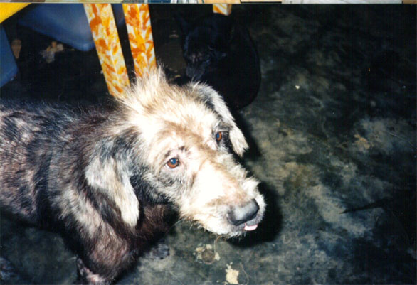 pot8.jpg (63987 bytes)