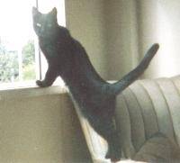 smmyjenn.jpg (4879 bytes)