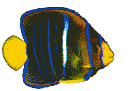 fishbubbles.gif (4339 bytes)