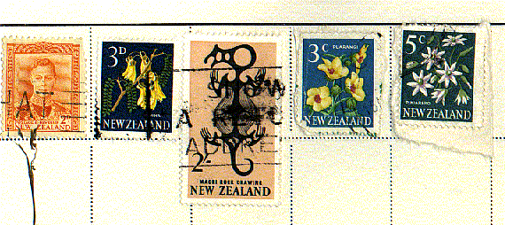 new_zealand.gif (76004 bytes)