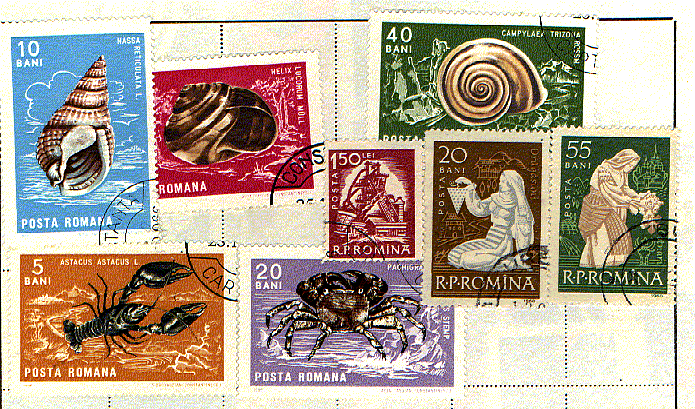 romania.gif (188791 bytes)